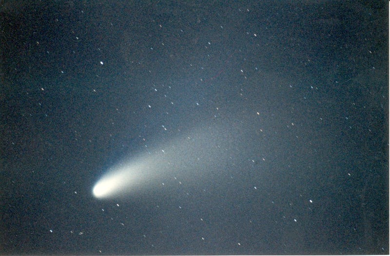 Illustration for article titled More Evidence that Life First Came from Comets