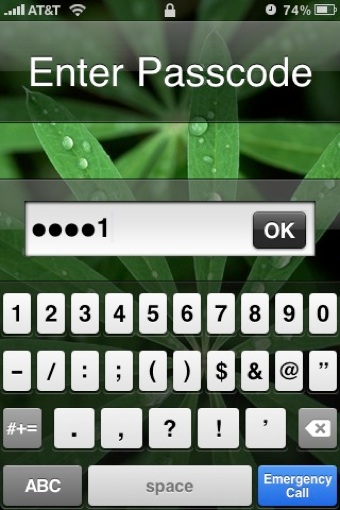 alpha numeric password