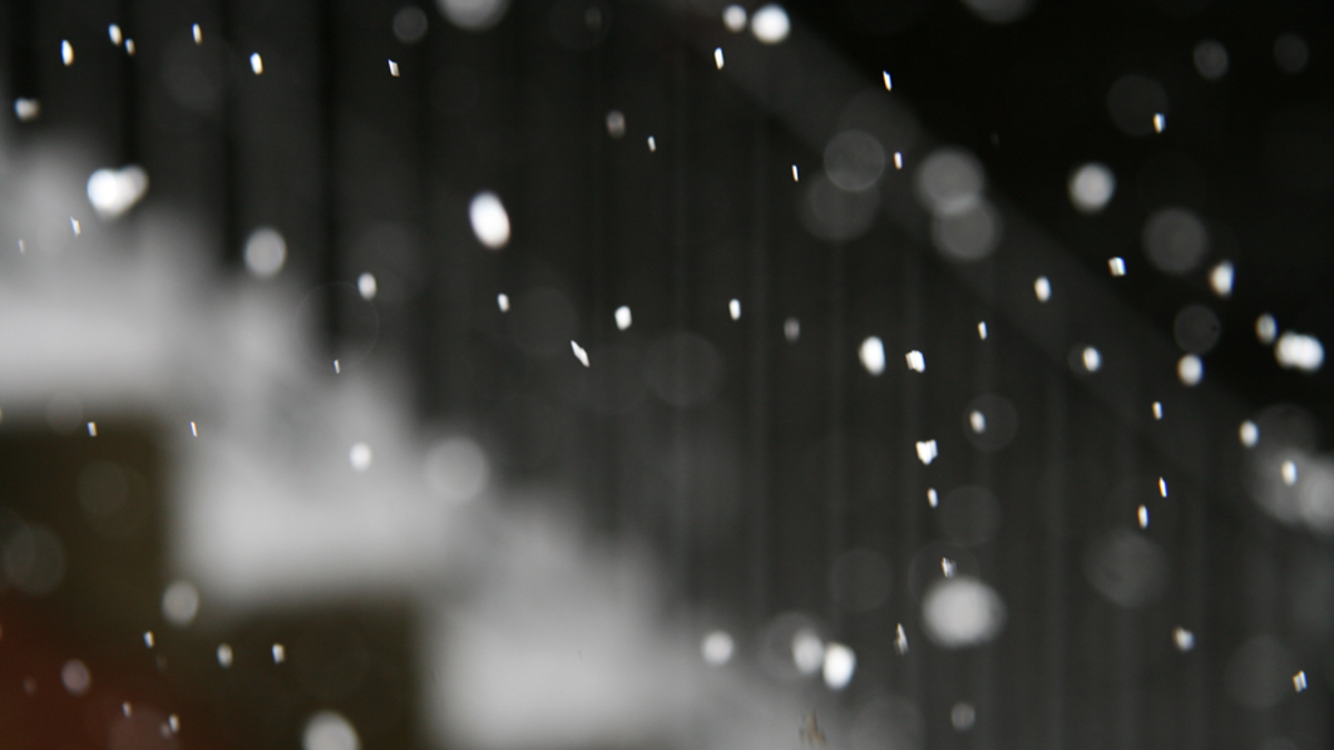 Shooting Challenge Bokeh Gallery 5