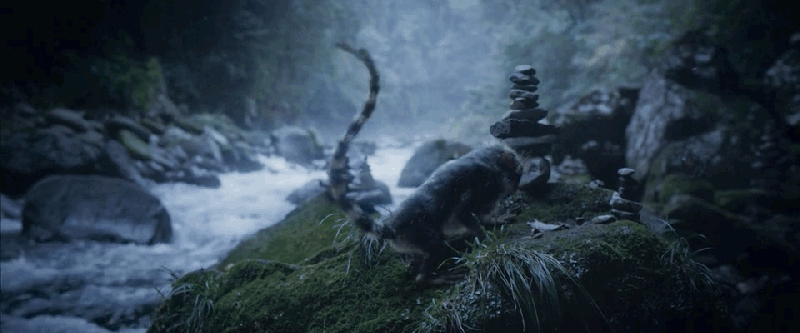 A Haunting Short Film Set in a World Where Evolution Happens Rapidly—And Is Often Deadly