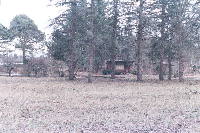 Illustration for article titled So I tried shooting Natura1600 at dusk/night