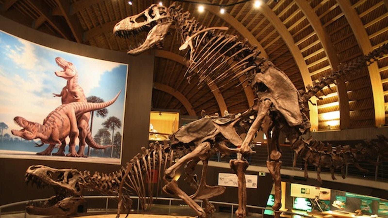 museums with t rex bones