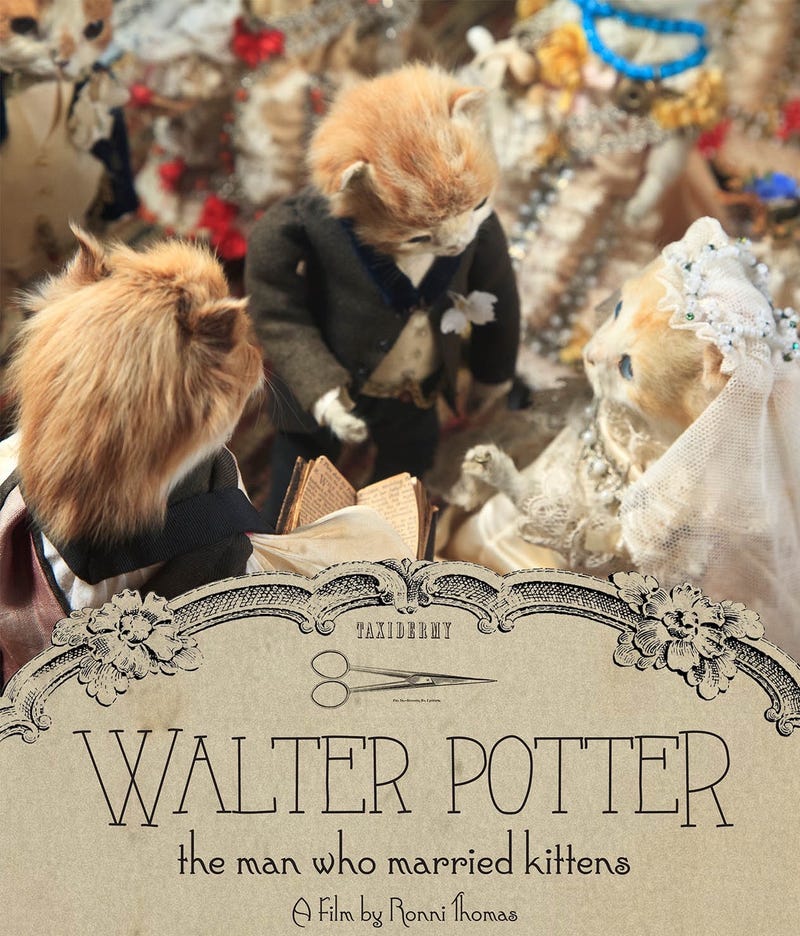 Illustration for article titled New Doc About Victorian-Era Taxidermy Puts The "Aww" In "Macabre"
