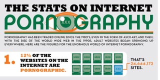 How much porn is on the internet galleries 95