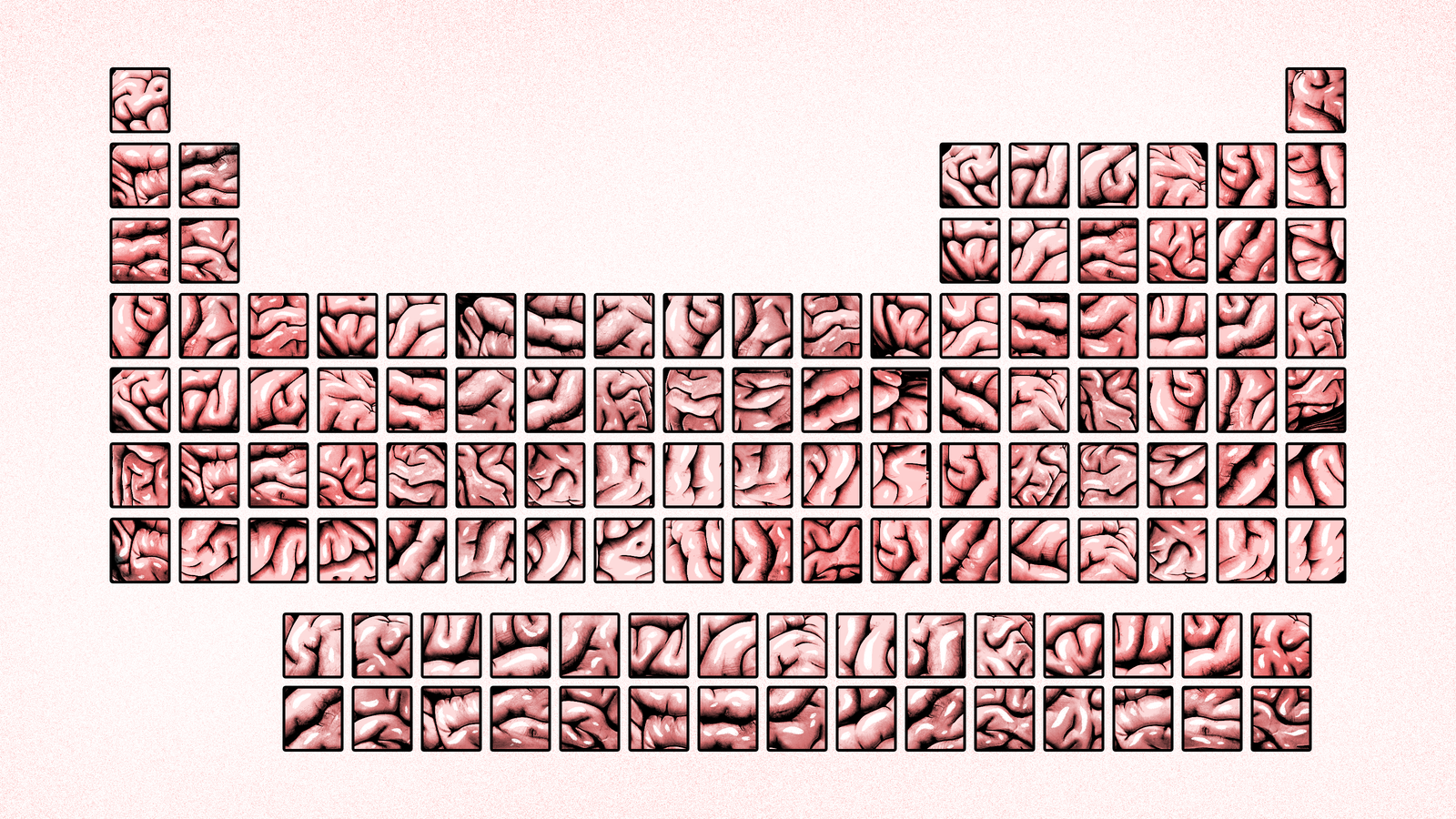 How A Periodic Table Of Brains Could Revolutionize Neuroscience