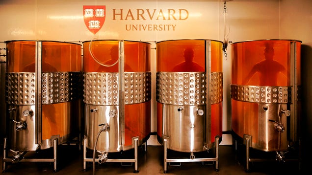 Harvard Streamlines Admission Process By Directly Growing New Students From DNA Of Top Donors