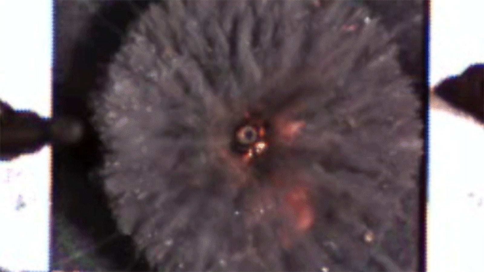A New Metal Foam Is as Bulletproof as Heavy Steel Armor, Researchers Say