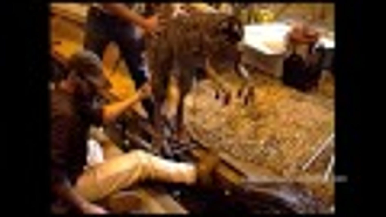 spitting jurassic park dinosaur