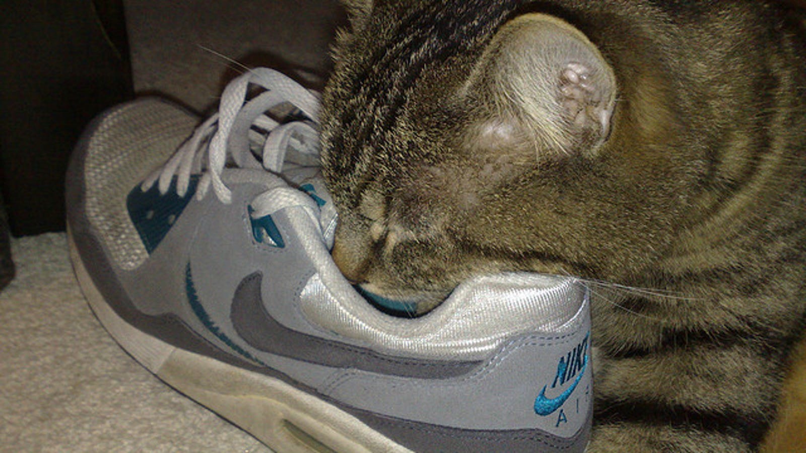 Keep Shoes Smelling Fresh with Peppermint Oil