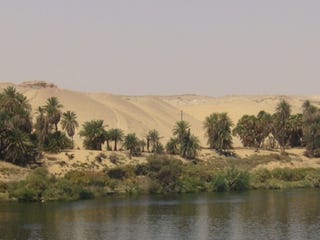 Illustration for article titled Arid Egyptian desert was once home to mega-lake teeming with life
