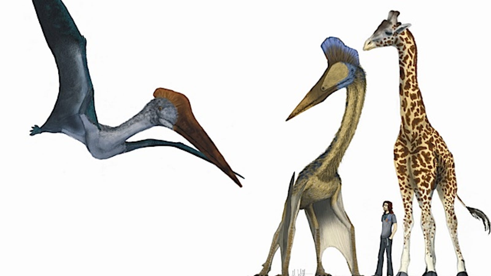 What Would The World Be Like If Pterosaurs And Humans