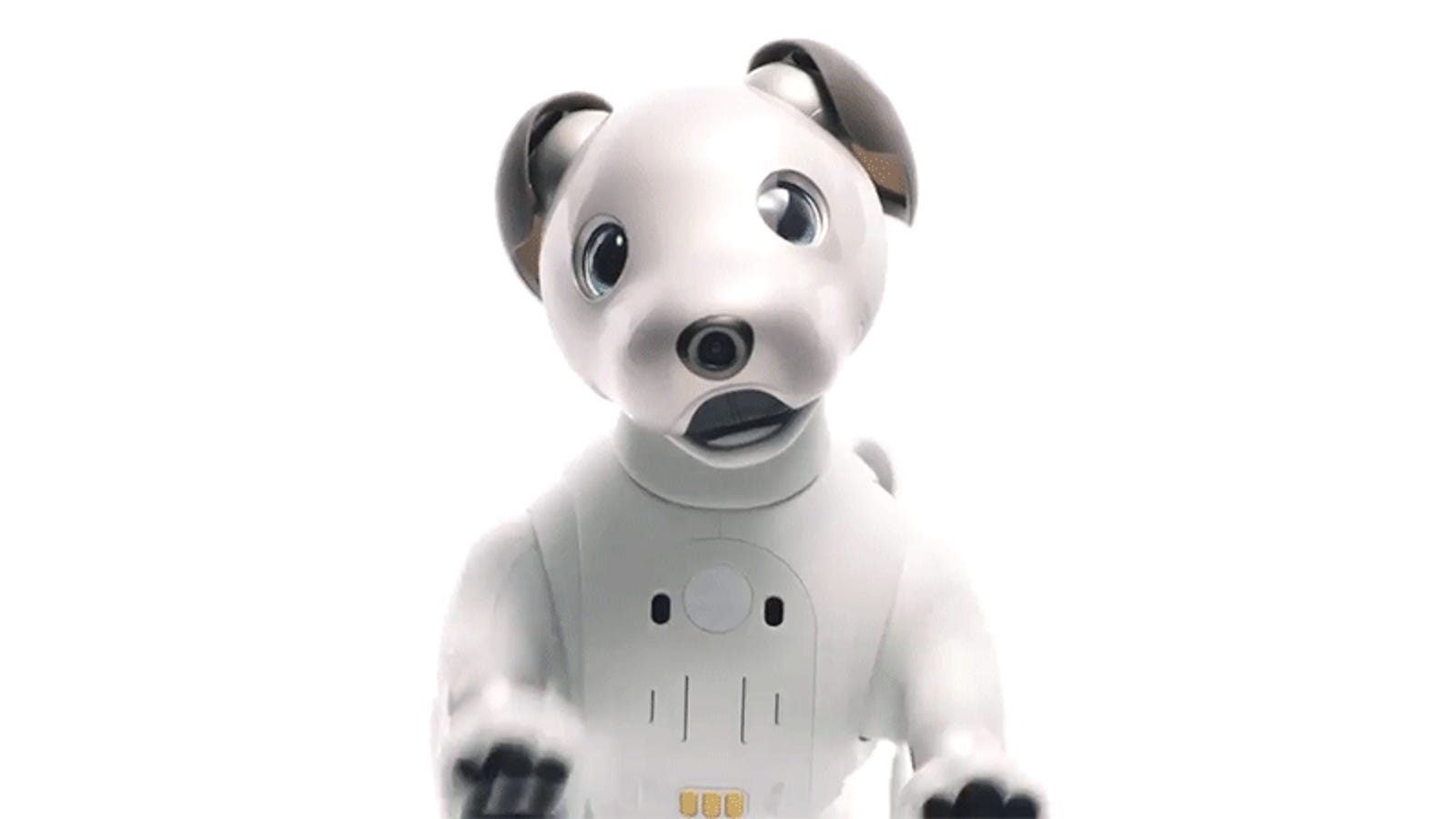 georgie dog robot