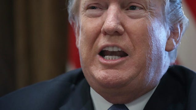 TrumpHotels.org Purchased by Pranksters to Promote America's Concentration Camps