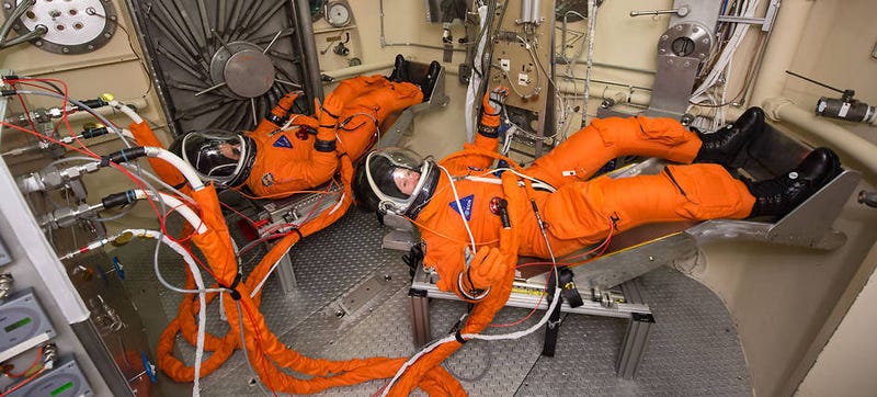 Illustration for article titled This Is How NASA Tests Spacesuits Ahead of Missions