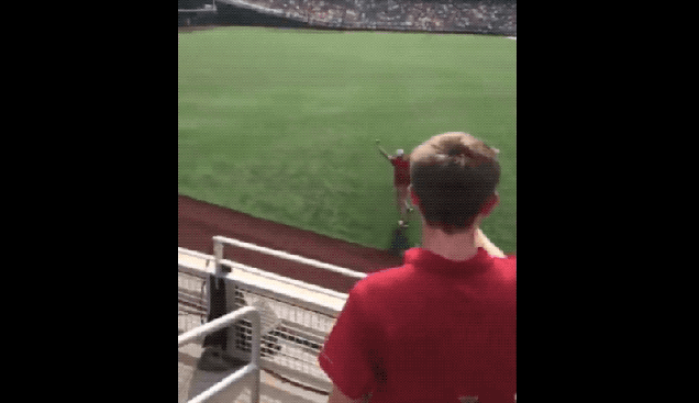jnkjrljx4cnjylphbnew.gif