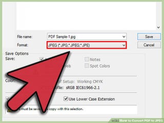 Illustration for article titled Converting Pdf To Jpg Free Software
