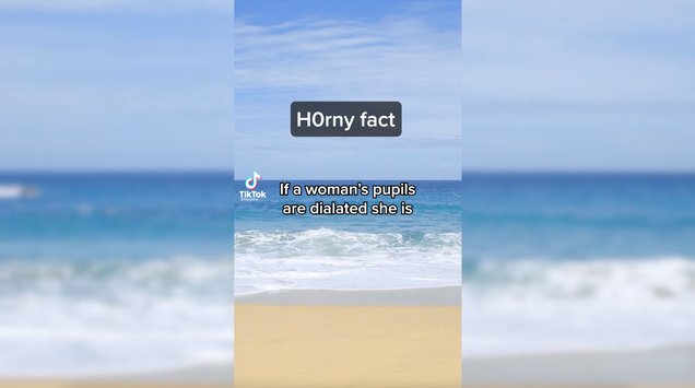 1e45d9e47c1b7db2e87084f3efacd8b5.png