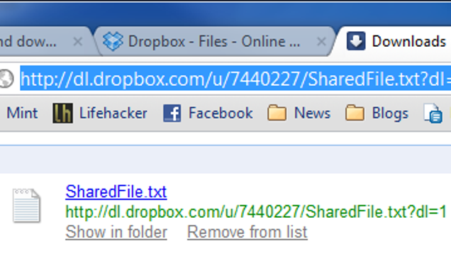 what is a dropbox public folder