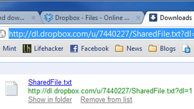 public dropbox links