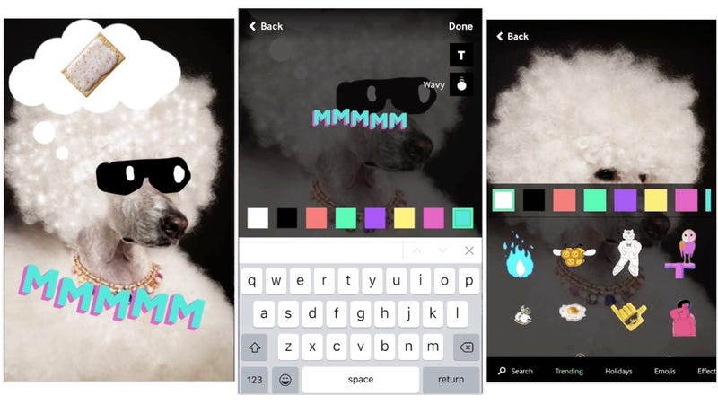 Illustration for article titled La nueva web de Giphy adaptada a móviles es la manera más rápida de convertir tus fotos y vídeos en GIFs