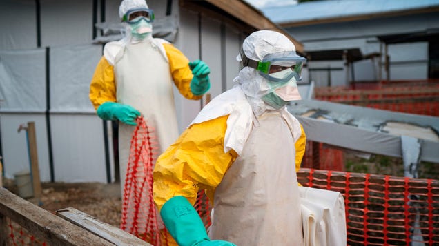 Ebola Outbreak Declared a Public Health Emergency by World Health Organization