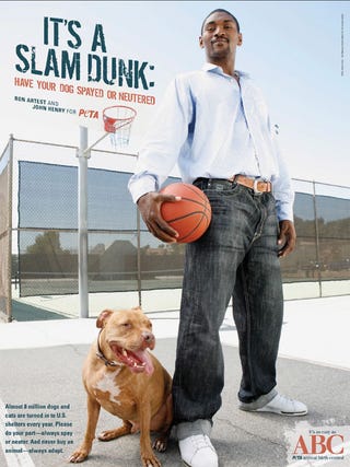 Illustration for article titled Once Again, Ron Artest Is The Voice Of Reason