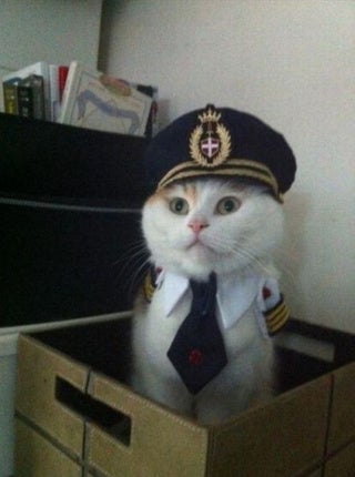 Illustration for article titled "This is your captain speaking"
