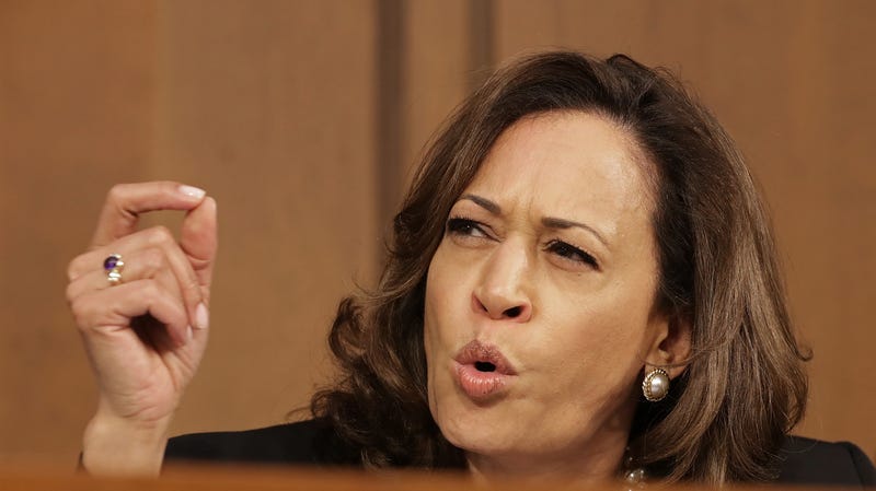 Illustration for article titled How Kamala Harris, a Tweet and a Pink and Green ‘Screech’ Proves We Need More Black Journalists