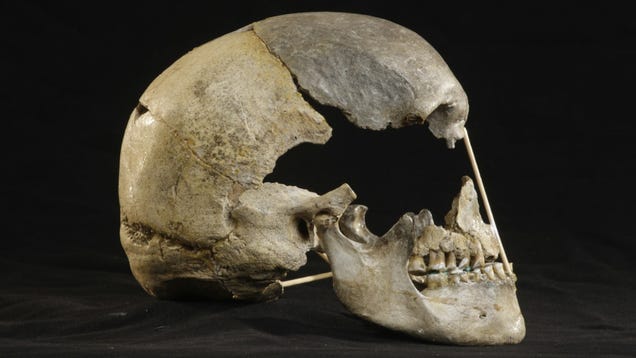 Skull From Czech Cave May Contain Oldest Modern Human Genome Skull From Czech Cave May Contain Oldest Modern Human Genome