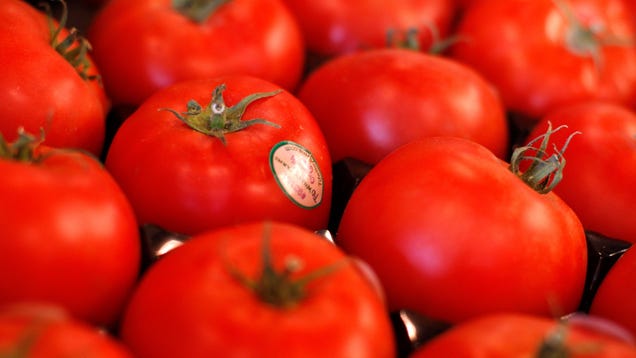 Why tomatoes are the exception to soaring food prices