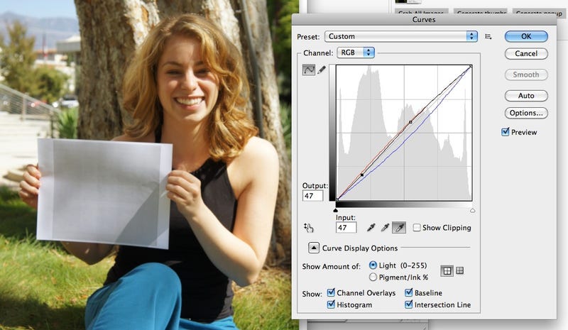 Use An 18 Gray Card For Better Color Balance In Your Photos