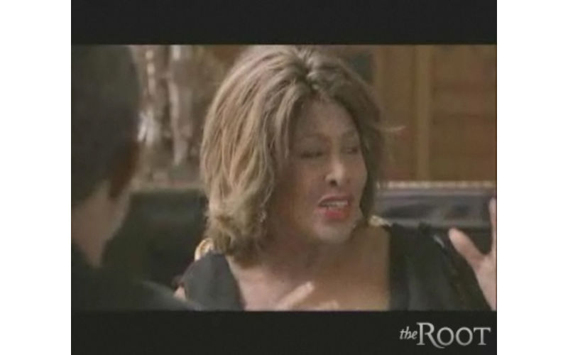 Illustration for article titled Tina Turner's Ancestral Legacy