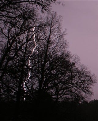 Illustration for article titled A Dark And Stormy Afternoon