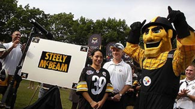 what does the steelers mascot look like