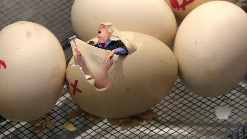 The nine newborn Supreme Court hatchlings are said to be huddling together in separate groups of five and four for warmth.