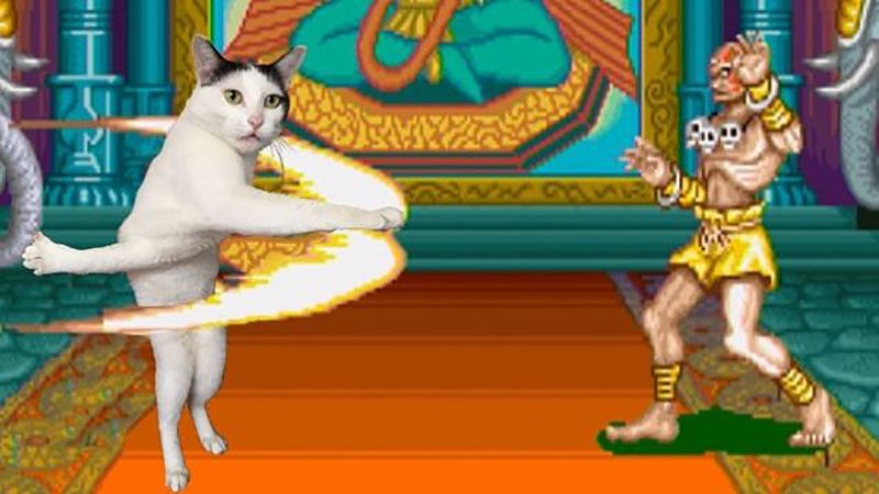 Illustration for article titled Olvida Pokémon Go, ahora los japoneses están obsesionados con este gato