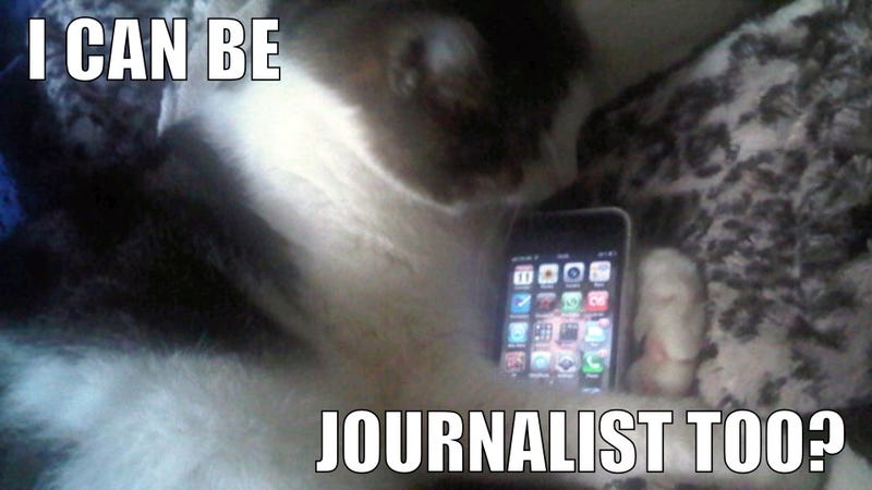 Illustration for article titled Kitties, Komen and The New Editor of Mainstream News