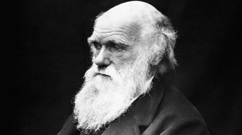 Illustration for article titled The psychological test that Darwin first invented
