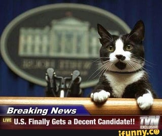 Illustration for article titled An important election