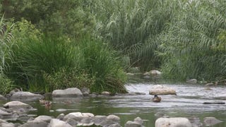 The Los Angeles River Will No Longer Be A Speedway For Terminators