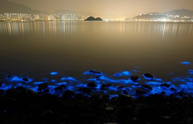 Este agua fluorescente es en realidad producto de la contaminación
