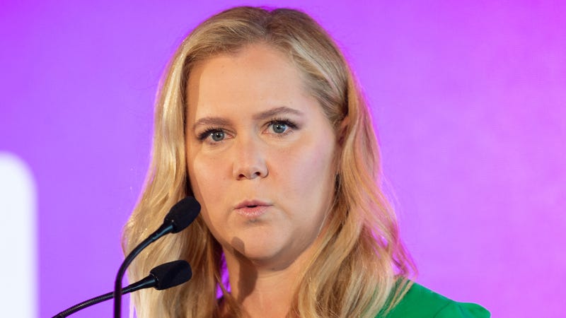Amy Schumer's baby shower cake had a butthole - The Takeout