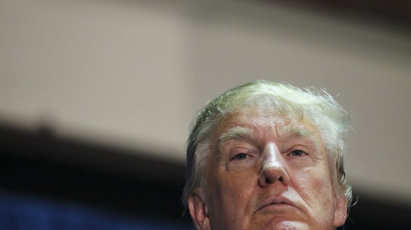 Illustration for article titled Projecting Mightily, Trump Suggests Hillary Clinton Is Wearing a Wig