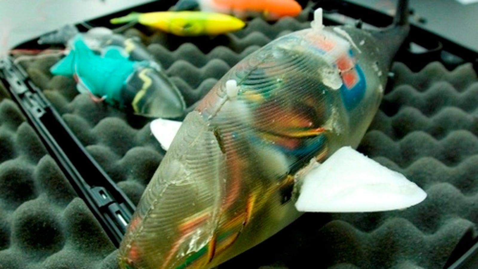 colour changing robo fish