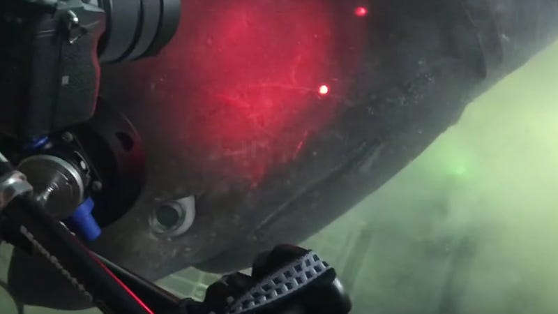 Illustration for article titled Holy shit, look at this giant shark