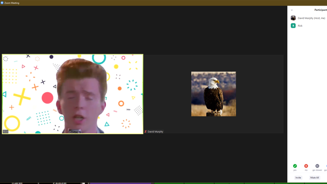 irggvhvipb6anieg2qlh.png