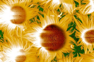 Illustration for article titled Nanomaterial Photos As Modern Art