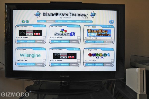 SCARICA HOMEBREW CHANNEL WII