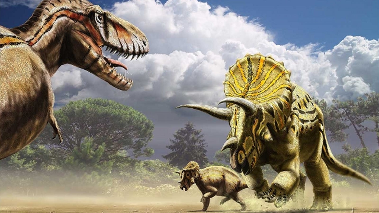 triceratops has