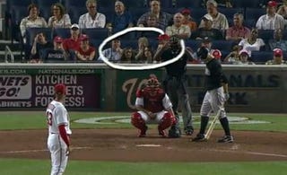Illustration for article titled Rob Dibble Will Not Tolerate Mouthy Broads At A Baseball Game